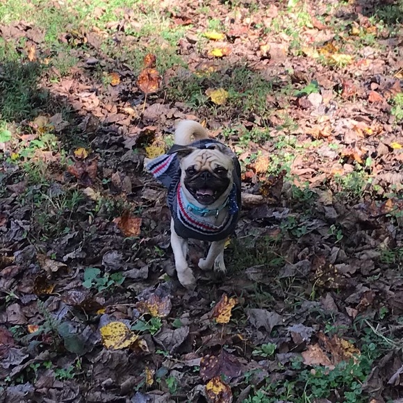 Meet your Posher, Selah - Picture 9 of 12